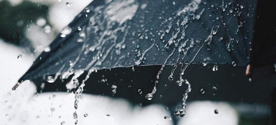 Affordable Rain Umbrellas for Sale