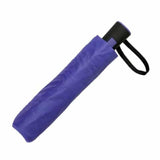 Clifton Auto Open 3 Fold 8 Rib Fashion Purple Umbrella