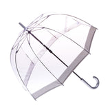 Clifton Clear Dome PVC Birdcage Silver Border Umbrella.