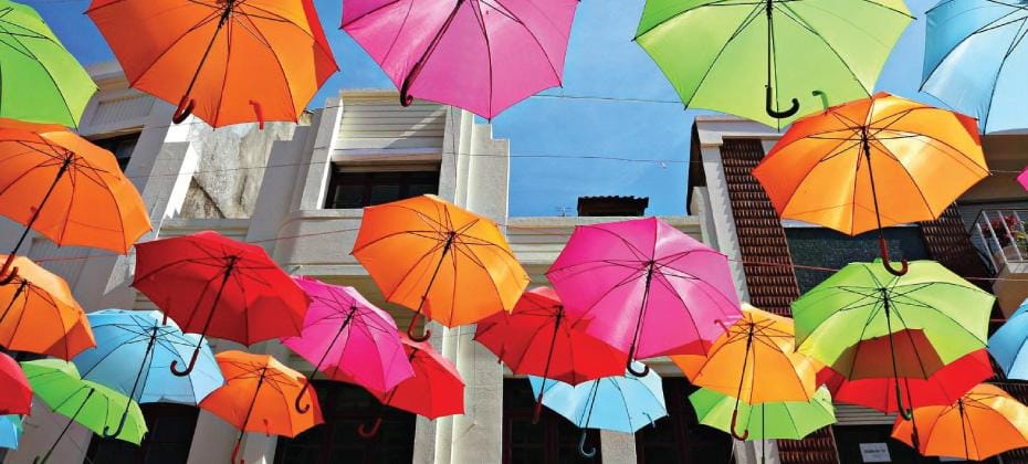 Umbrellas for Sale Online