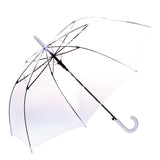 Clifton Biodegradable PVC Clear Birdcage Umbrella White Handle