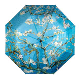 UPF50+ Clifton Auto Open Compact Van Gogh Almond Blossom