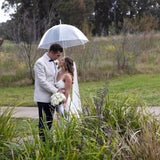 Willow Tree Dome Birdcage Clear Transparent Umbrella