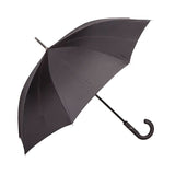 Clifton Auto Open Smooth Style Umbrella UPF50+ Black Umbrella