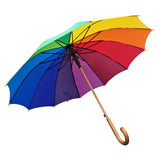 Willow Tree Auto Open Timber 12 Rib Rainbow Umbrella